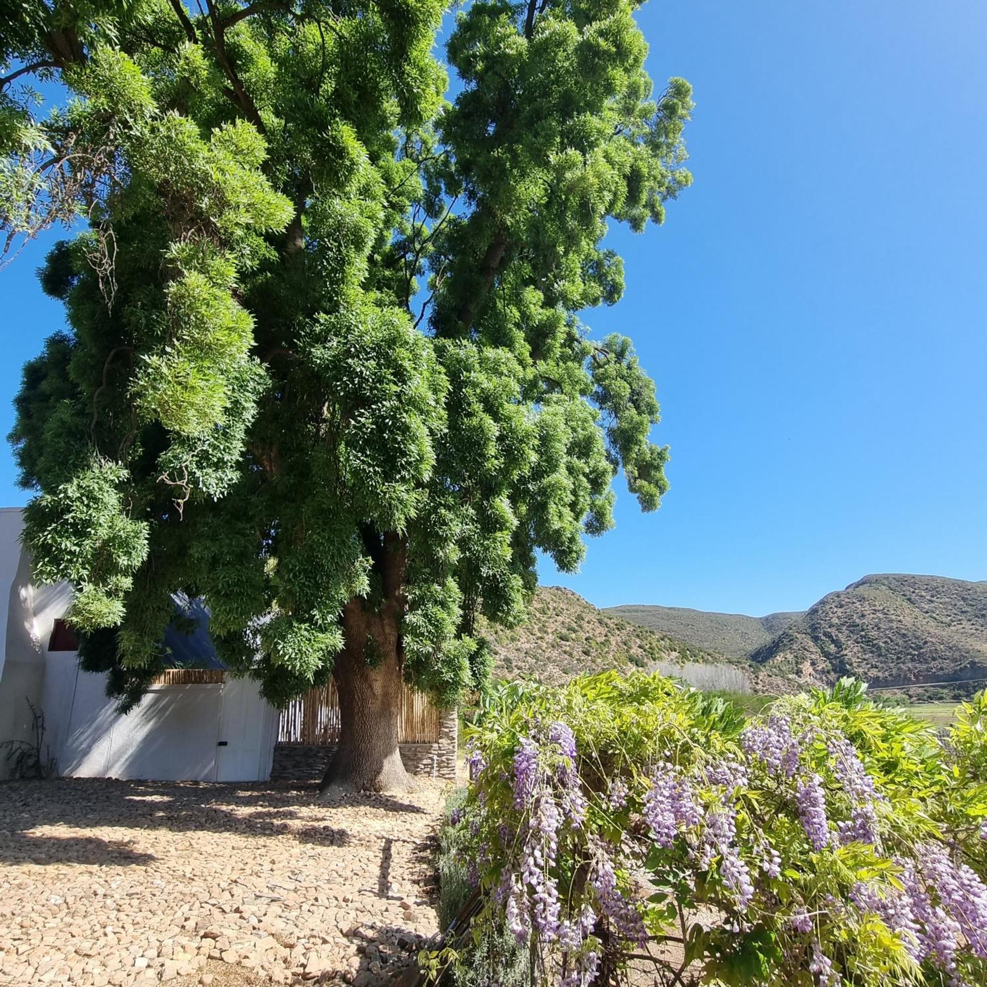 De Kombuys Oudtshoorn Kültér fotó