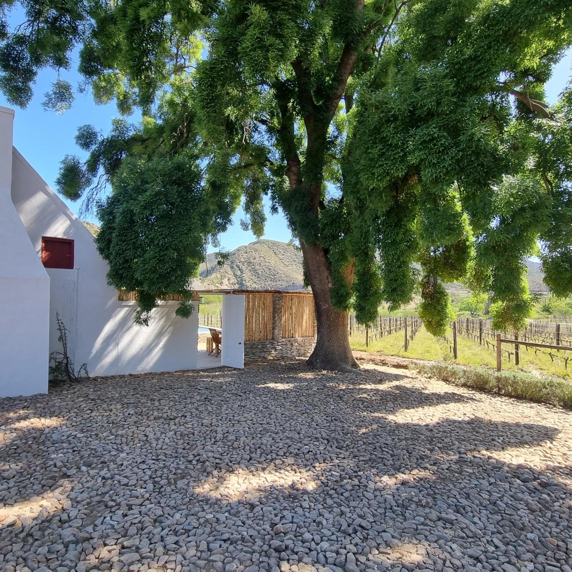 De Kombuys Oudtshoorn Kültér fotó