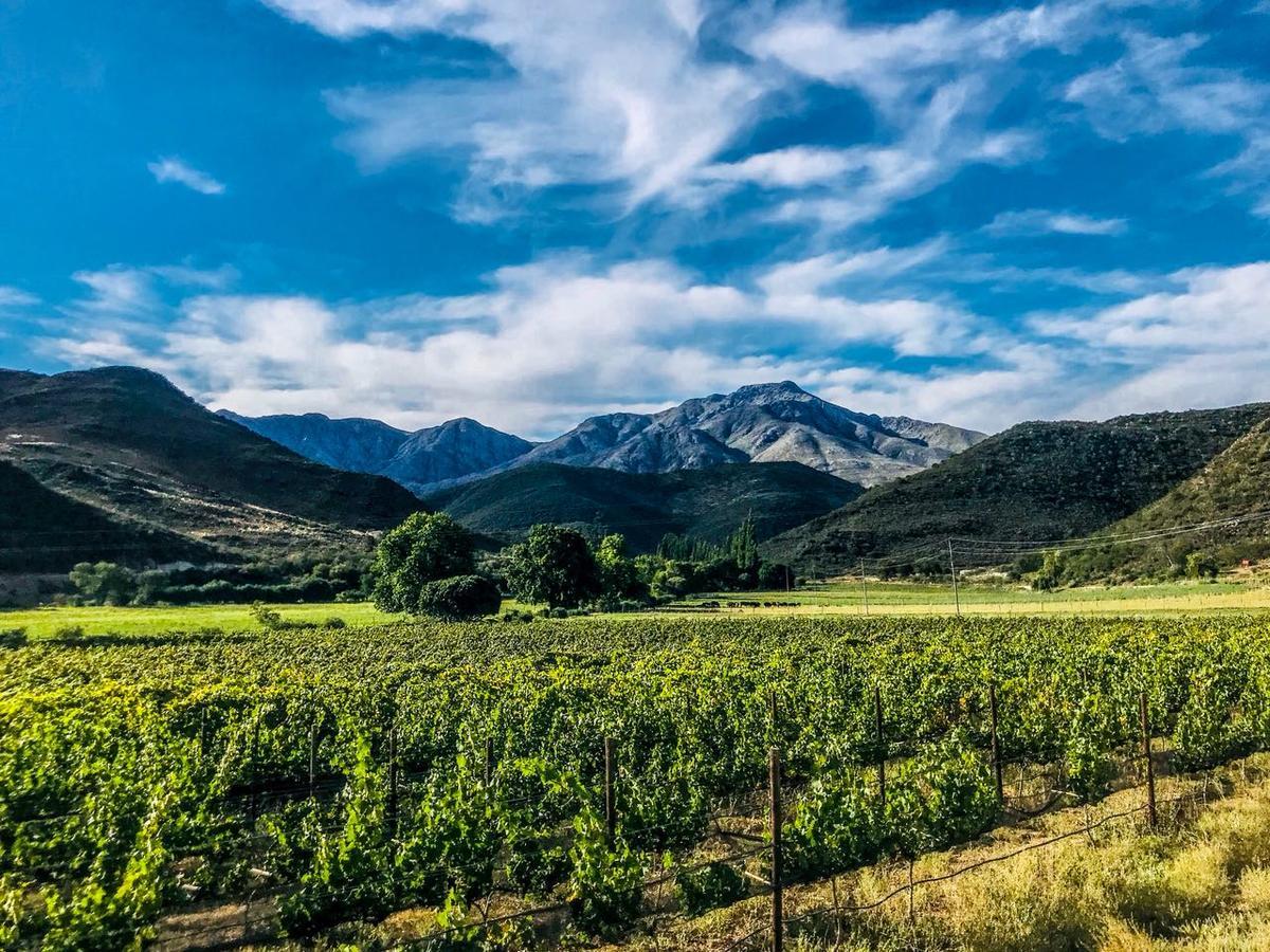 De Kombuys Oudtshoorn Kültér fotó